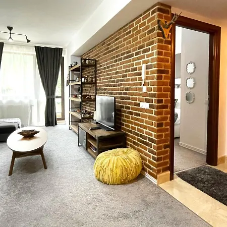 Colina Boutique Apartment With Free Parking Sinaia Exterior photo